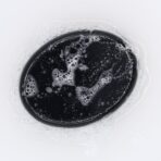 Aktiivsoe seep sidruniga vahutamas valge pehme vahuga