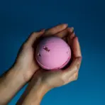 Roosi Vannipomm Kroonlehtedega — detailvaade