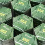 Pealkiri: Backflow viirukikoonus salvei — masala koonused 10 tk — tekstuur