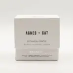 Botaaniline Järveküünal Sojavahast — detailvaade