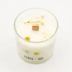 Botaaniline Järveküünal Sojavahast — kõrvaltvaade