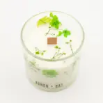 Botaaniline Marjaküünal Sojavahast — kõrvaltvaade