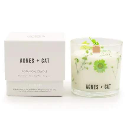 Botaaniline Marjaküünal Sojavahast