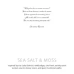 Botaaniline Mereküünal Sojavahast — lähivaade