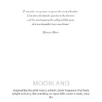 Botaaniline Nõmmeküünal Sojavahast — Värske Looduslik Lõhnaelamus — lähivaade