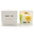 Botaaniline Oudiküünal Sojavahast — Sügav ja Maandav Lõhnaelamus