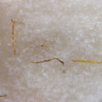 Looduslik energiat andev himaalaja vannisool lähedalt