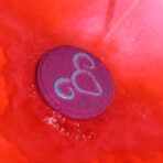 jäära vannipomm — lähivaade toote detailidele