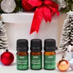 Jõululõhnaõlide Komplekt Holy Scents — 12 Lõhnaõli 5ml + 2 Pipetti — detailvaade