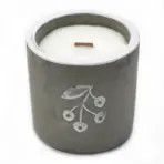 Kadaka Džinni Küünal Betoonanumas — kõrvaltvaade