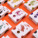 Konjac käsnade karbid ülevalt vaates — kõik variandid oranžil taustal