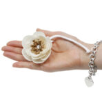 Mooni difuuserilill solapuidust nööril