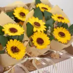 Päevalillede Seebikimp — ülevaade