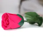 Punane Seebiroosi Lill