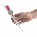 Punane Seebiroosi Lill — tekstuur