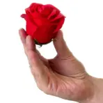 Seebilill Punane Ruut — 9 Punast Seebiroosi Elegantses Ruudukujulises Kinkekarbis — lähivaade