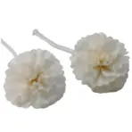 Solapuidust nelk nööril – keskmine difuuserilill aroomi difuuserile — detailvaade