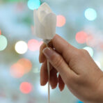 Tulbi difuuserilill solapuidust bambusvarrel